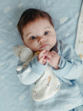 Load image into Gallery viewer, Muslin Sleeping Lovey - Kites