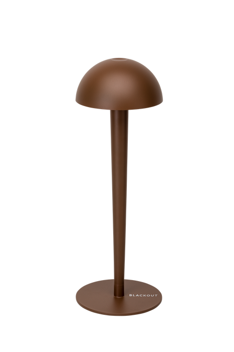 PIN