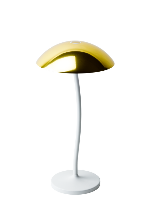 STEM