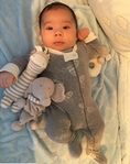 Load image into Gallery viewer, Ollie the Giraffe Toy
