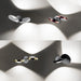 lodes-nautilus-wall