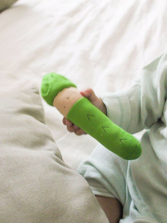 Asparagus Veggie Toy