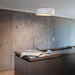 lightingshop-flos-smithfield-c-soffitto-1
