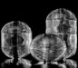 lightingshop-lodes-Jefferson-9