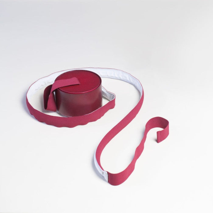 Elastica