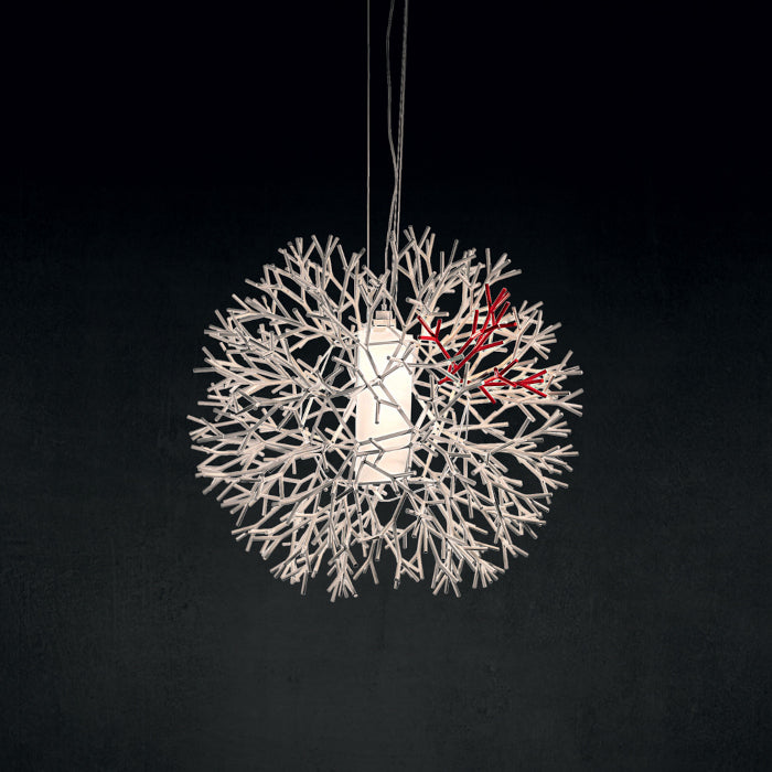 CORAL sospensione