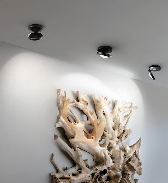 Nautilus - Ceiling
