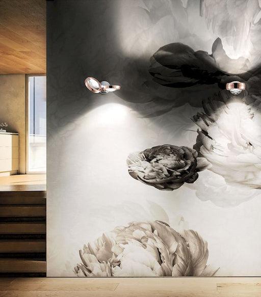 lodes-nautilus-wall