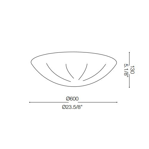 Shell Parete/Soffitto