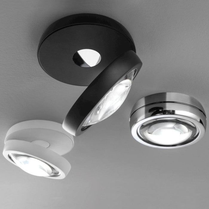 Nautilus - Ceiling