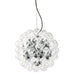 flos Taraxacum 88 Sospensione 1