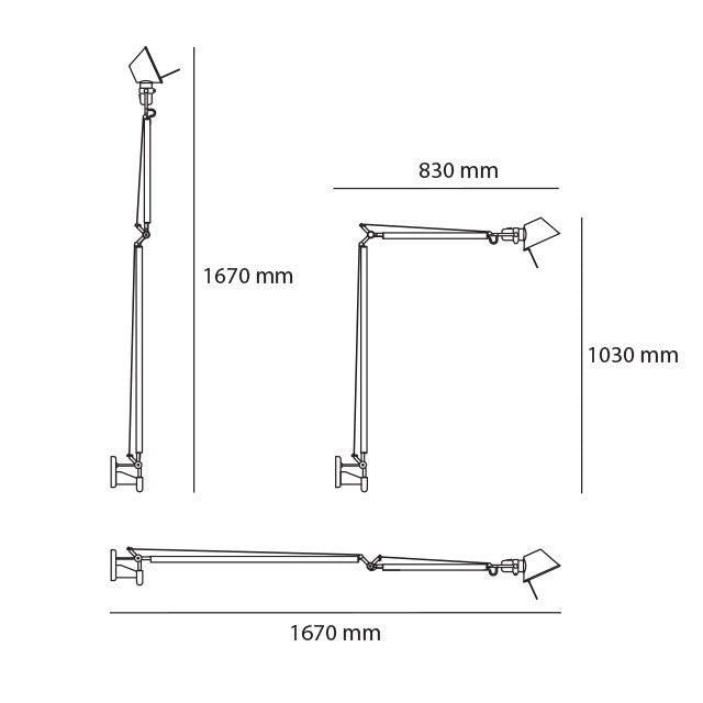 Tolomeo Braccio Parete