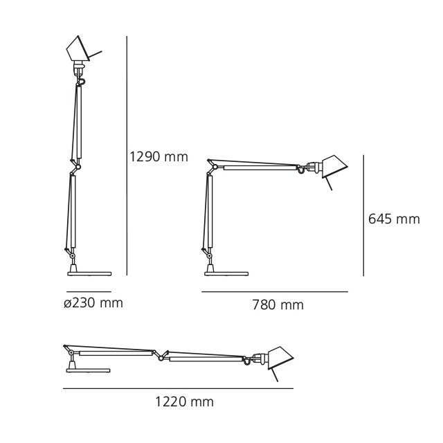 Tolomeo Tavolo