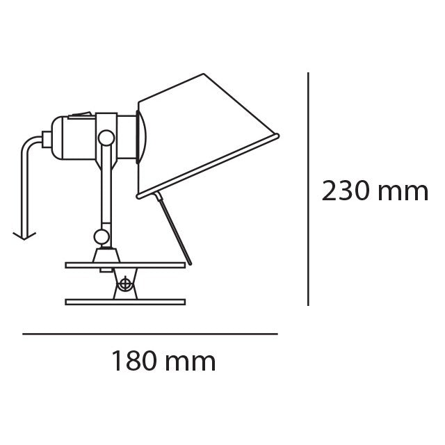 Tolomeo Pinza