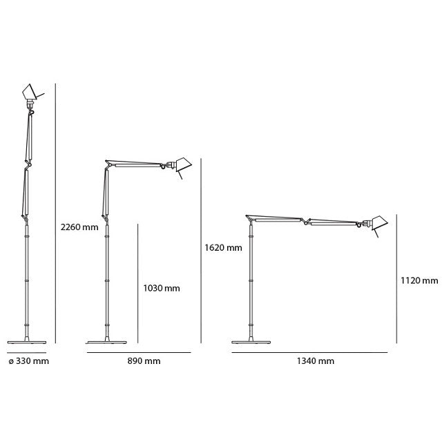 Tolomeo Terra